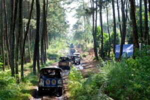 Outbound team building